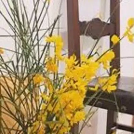 C'era Volta Velino Sirente National Park Διαμέρισμα *